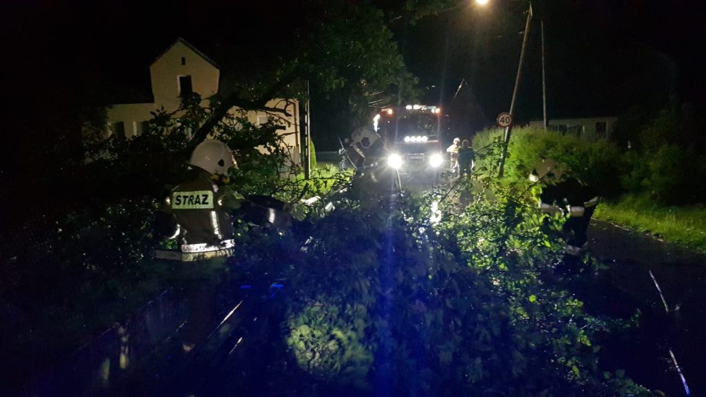 Zdjęcie WhatsApp 2025-06-06 o 10.16.29_521a3d17