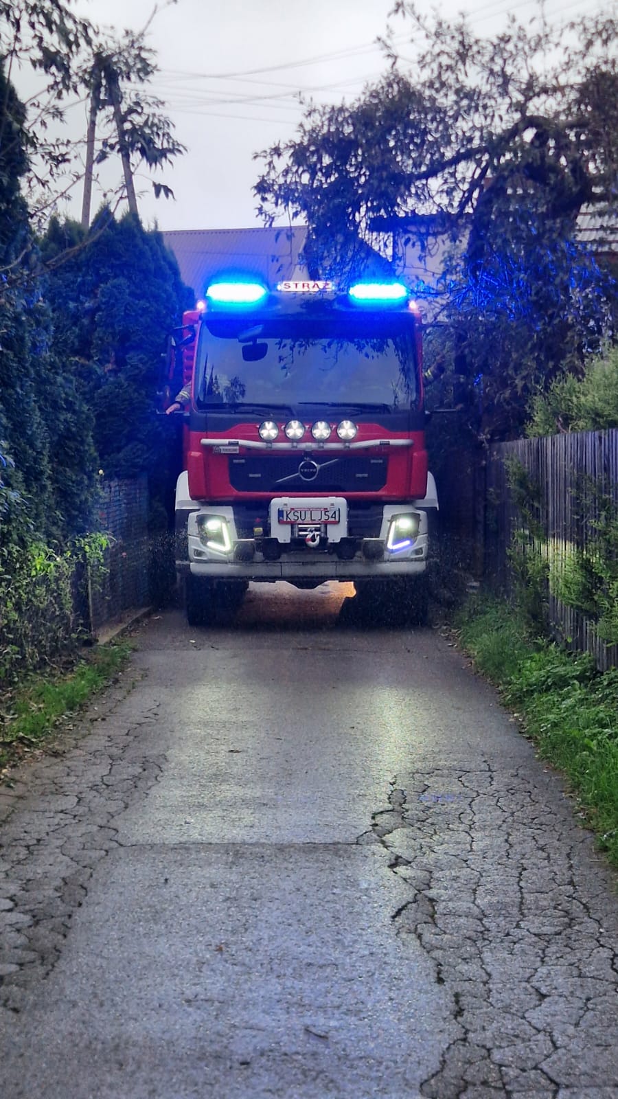 Zdjęcie WhatsApp 2025-09-23 o 18.33.19_d3a0269c