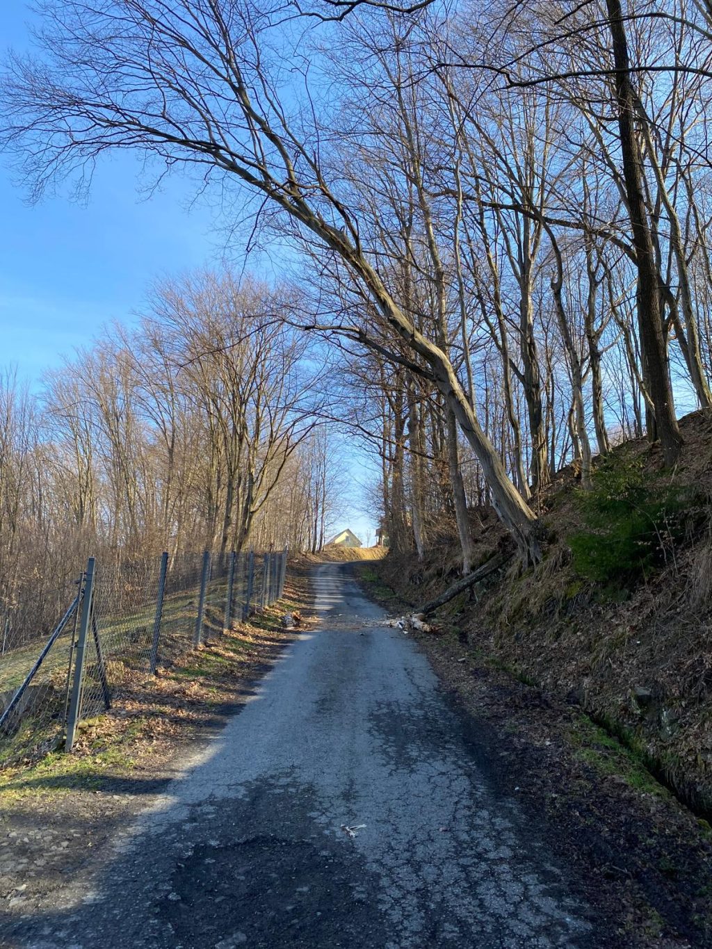 WhatsApp Image 2026-03-05 at 11.40.48