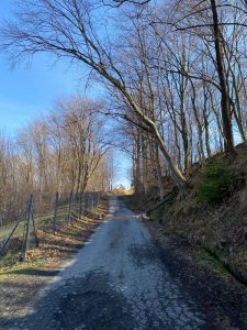 WhatsApp Image 2026-03-05 at 11.40.48