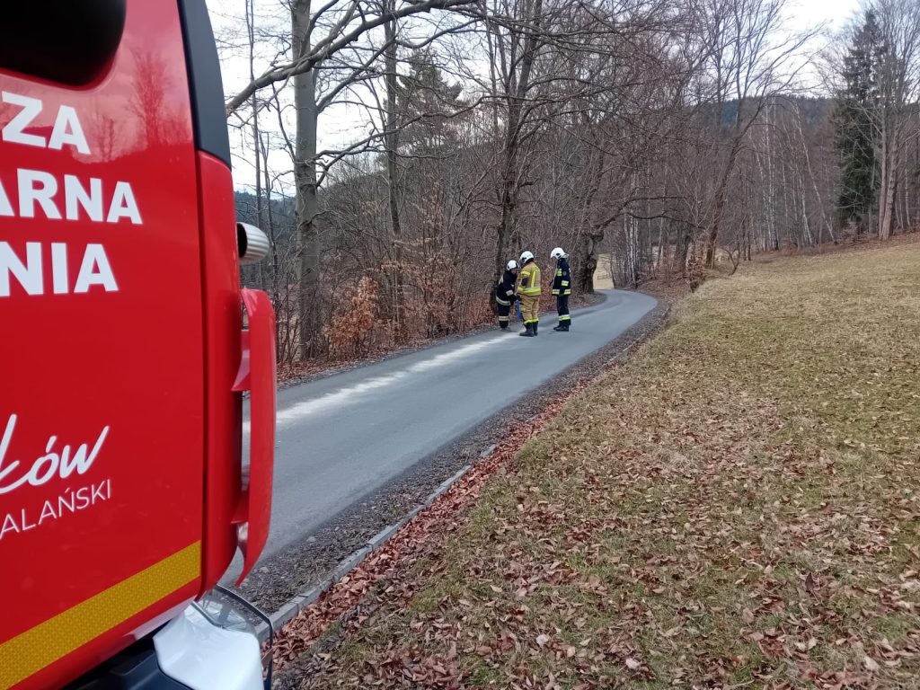 WhatsApp Image 2026-03-12 at 11.49.12