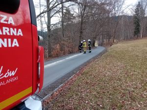 WhatsApp Image 2026-03-12 at 11.49.12