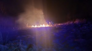 WhatsApp Image 2026-03-13 at 22.23.08