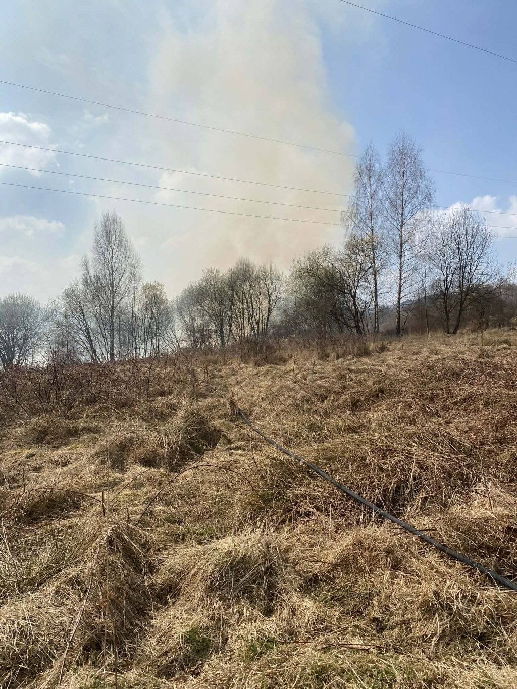 f2eb6307-d937-45c6-90dd-4ef2f8d3e35d