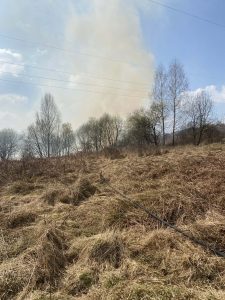 f2eb6307-d937-45c6-90dd-4ef2f8d3e35d