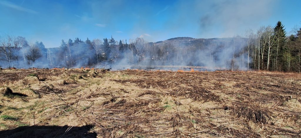 WhatsApp Image 2026-04-05 at 14.18.08