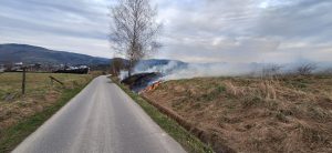 WhatsApp Image 2026-04-12 at 18.45.14